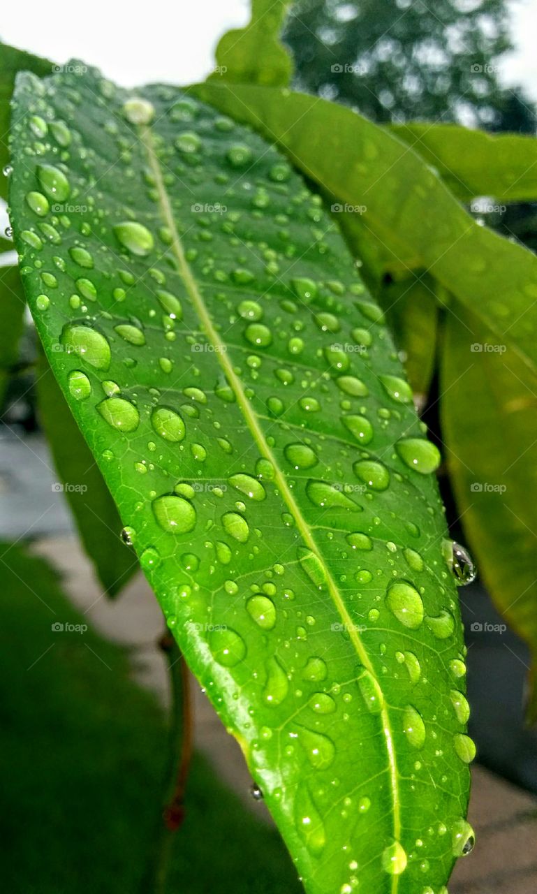 water drops