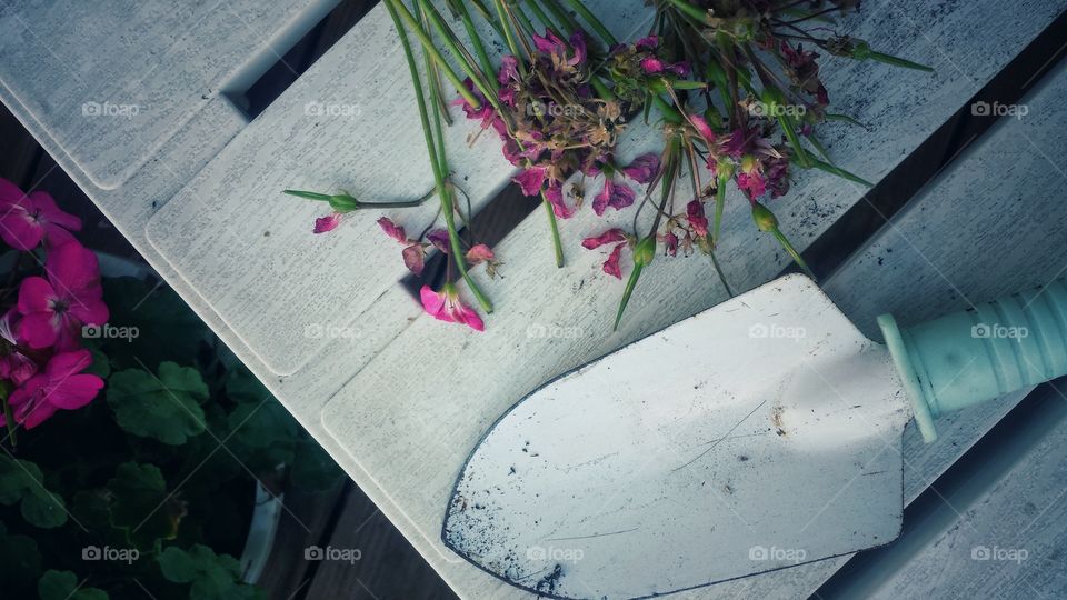 Gardening equipment on table