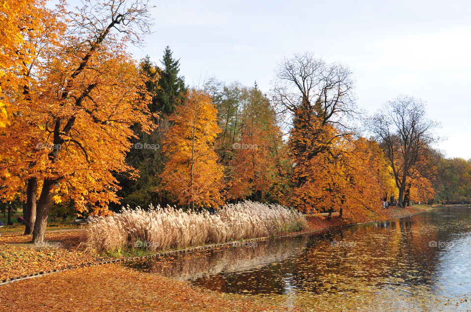 Autumn in Warsaw park