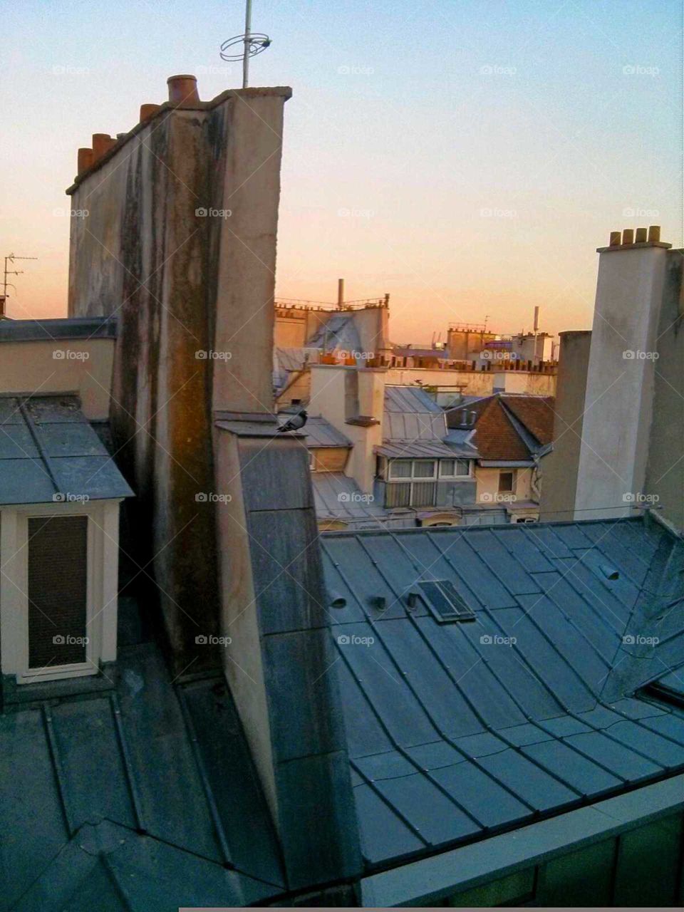 Sunset on a rooftop of a city