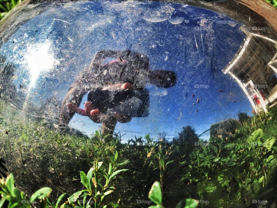 Reflections of a dog bowl