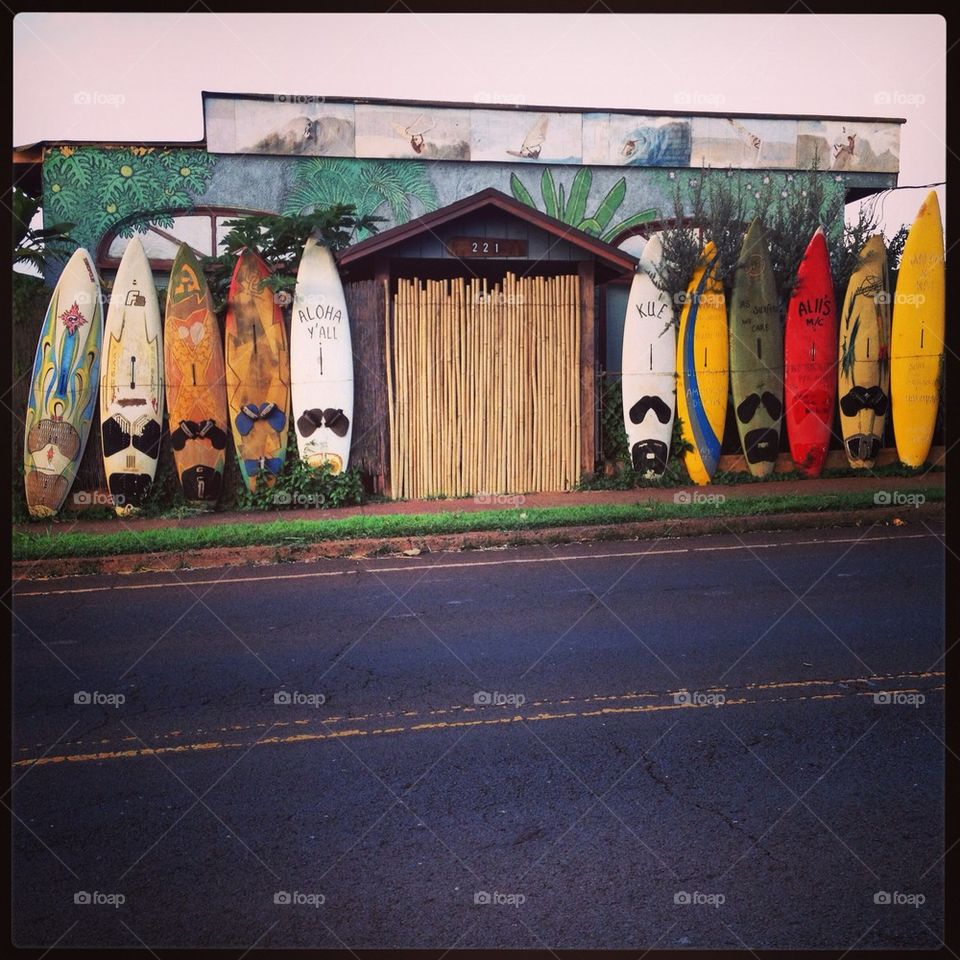 Surf hostel