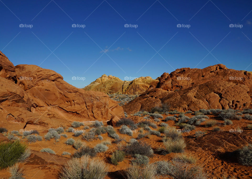 Valley of Fire 