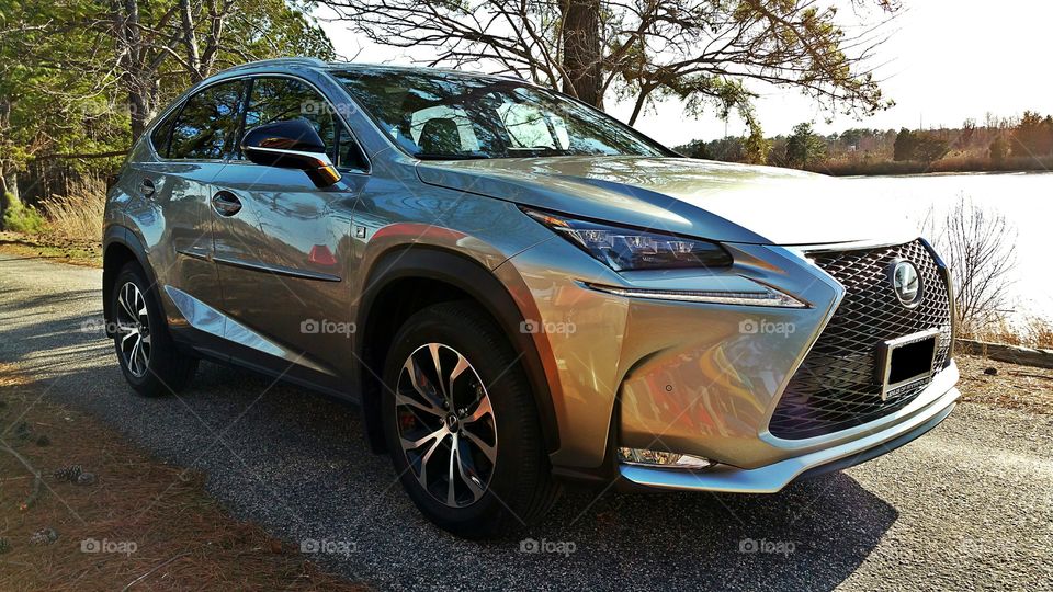 2015-Lexus NX 200t f sport. This photo was taken in April 2015 in Chester,  MD and highlights the awesome Lexus atomic silver color.