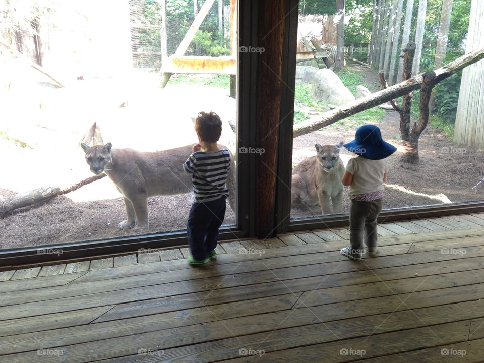 Toddlers and Cougars at the Nature Center in Western North Carolina