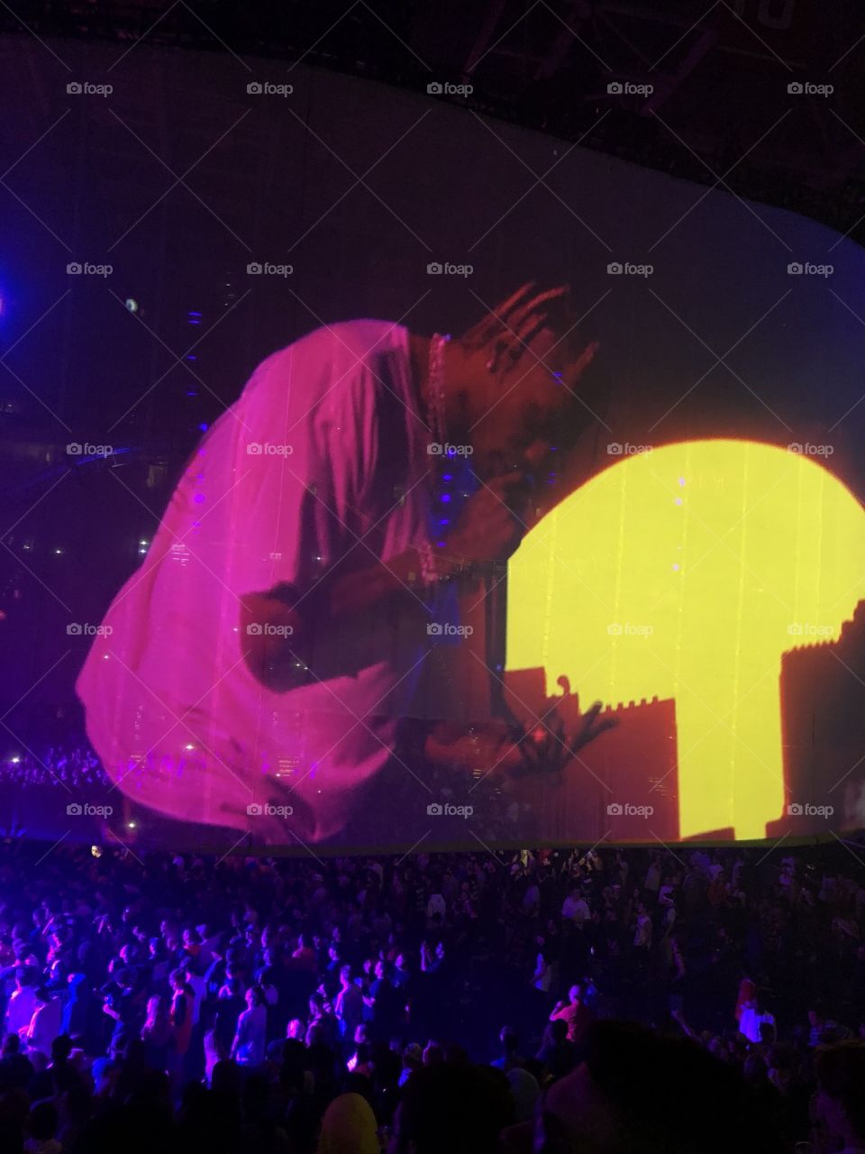 The Travis Scott Concert was Something Else