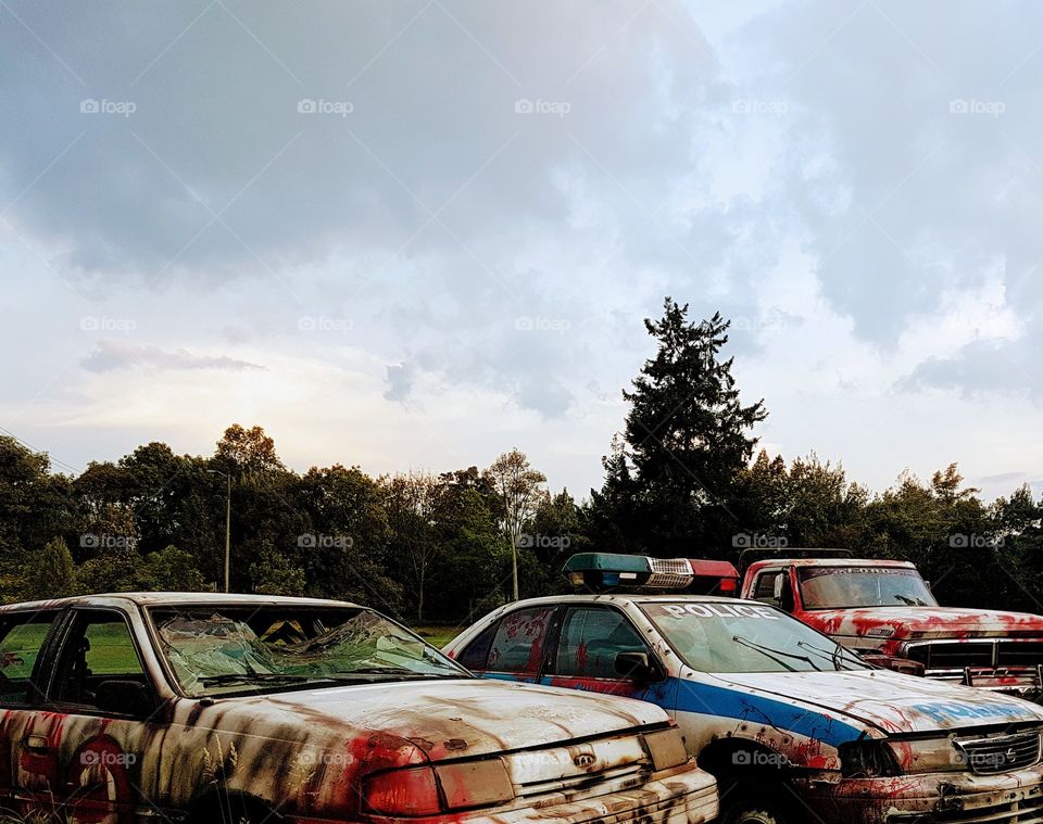 Earth without humans