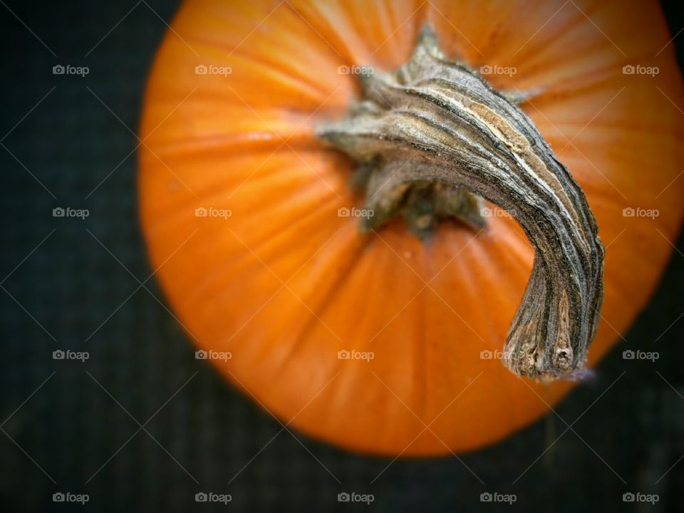 As Halloween approaches a pumpkin awaits carving.