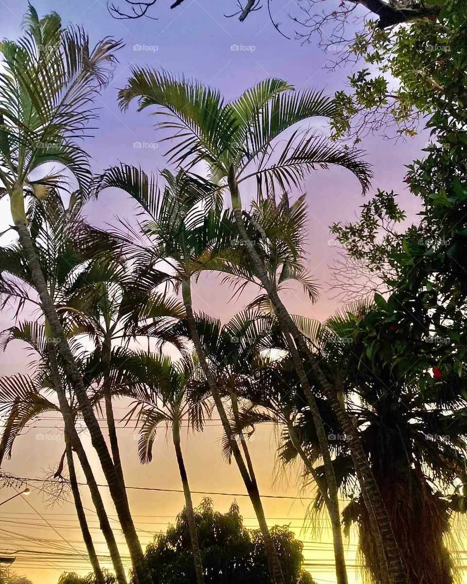 🌄🇺🇸 An extremely beautiful dawn in Jundiaí, interior of Brazil. Cheer the nature! / 🇧🇷 Um amanhecer extremamente bonito em Jundiaí, interior do Brasil. Viva a natureza! 