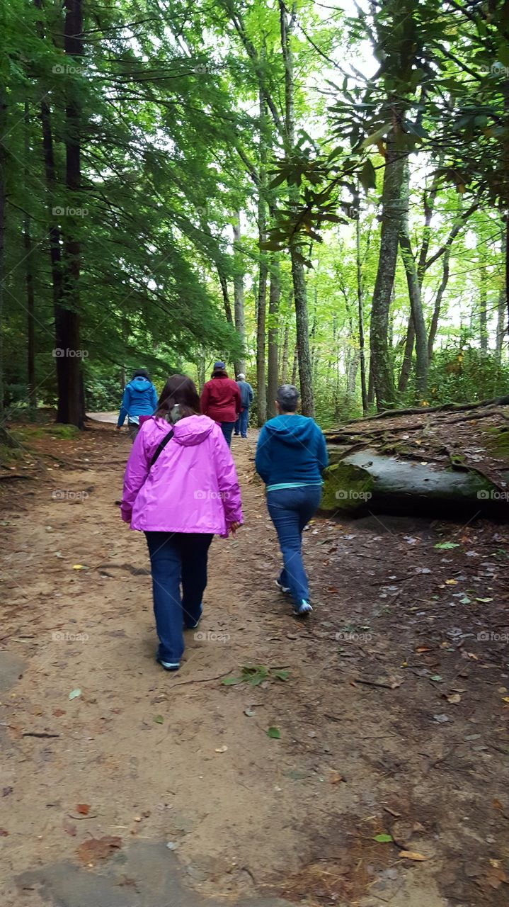 Hikers hitting the forest trail on a rainy early autumn day.