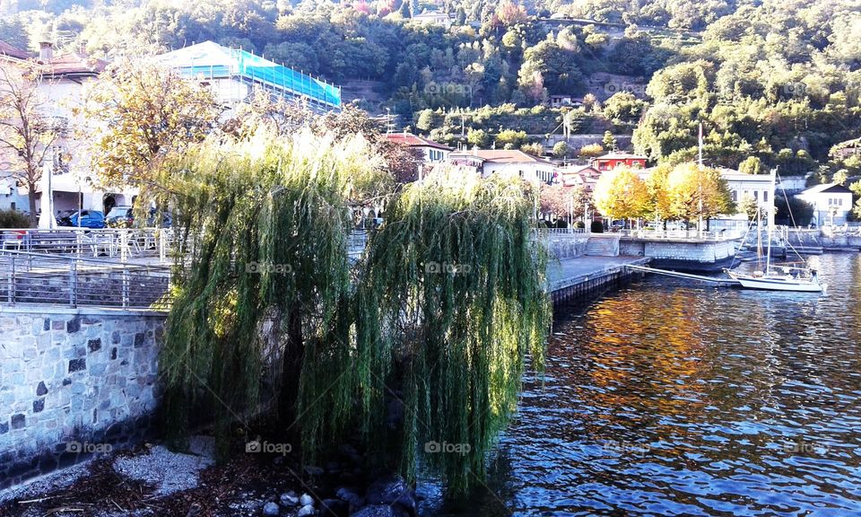 Sunday afternoon at the Lake