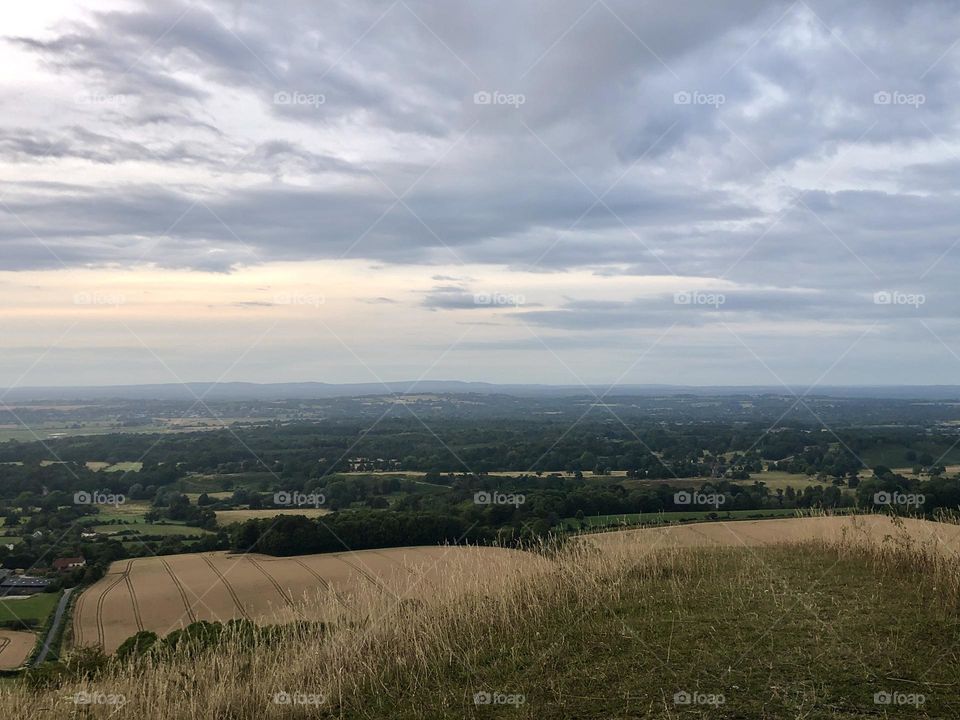 View of fields and forest from a hilltop