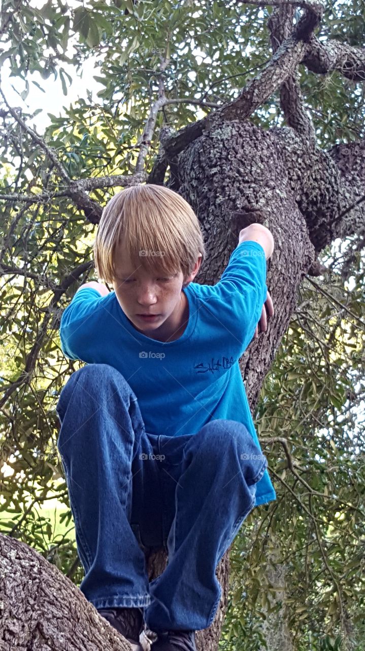 Low angle view of boy coming down a tree