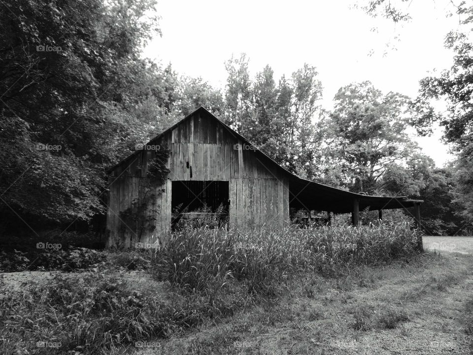 Old  Hay Barn in black & Whit