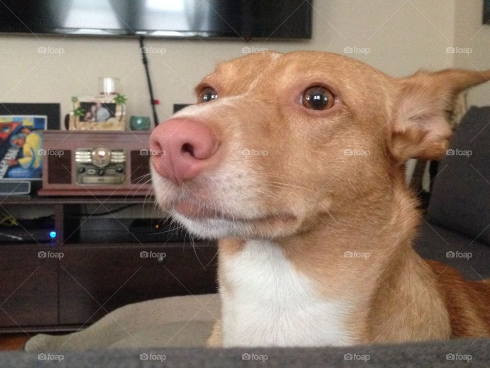 She is shy at first contact