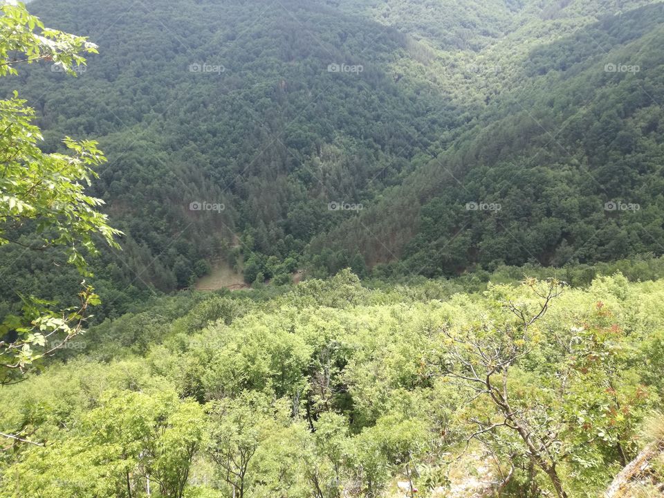 Mountain Jelica Cacak green gorge nature landscape