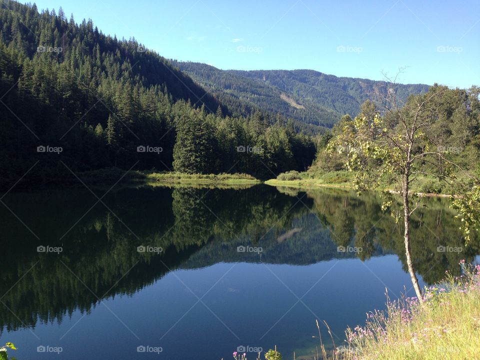 Water, Lake, Landscape, No Person, Tree