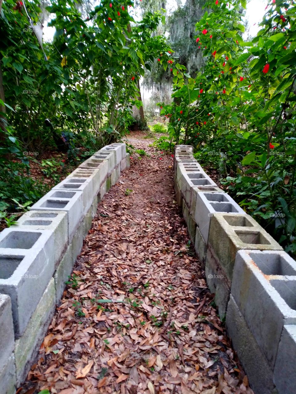 footpath , bricks, & trees