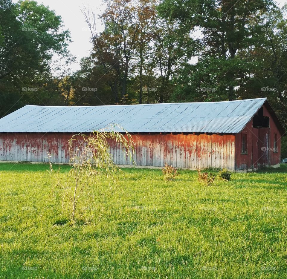 old barn