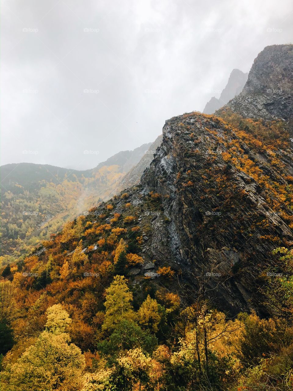 Foggy morning in Pyrenees 