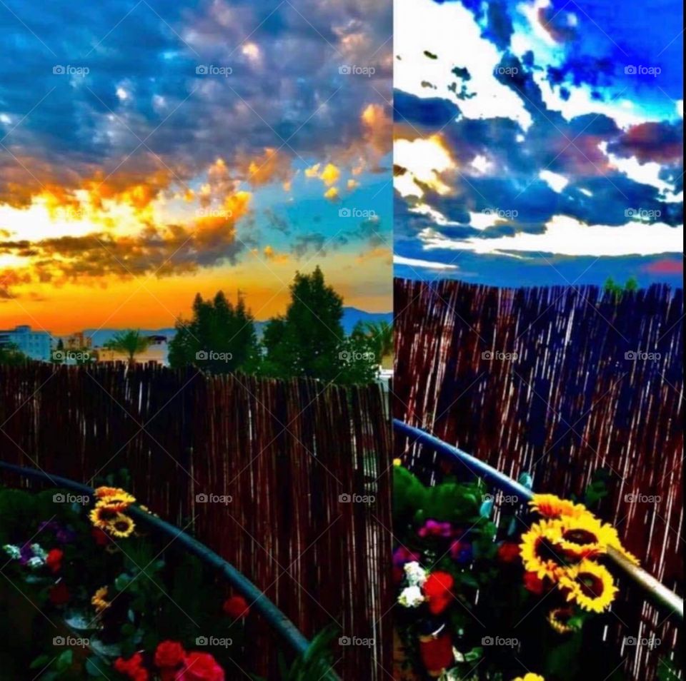 My Magic view Cyprus 