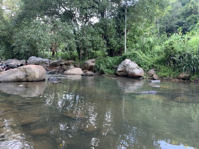 Nature 