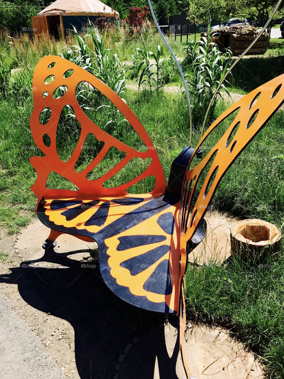 Orange color story, butterfly bench