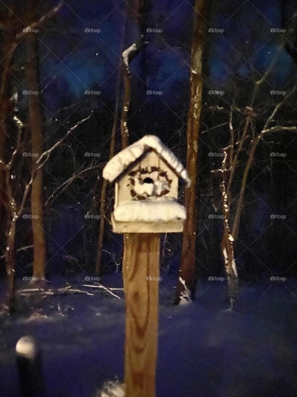 Birdhouse in storm