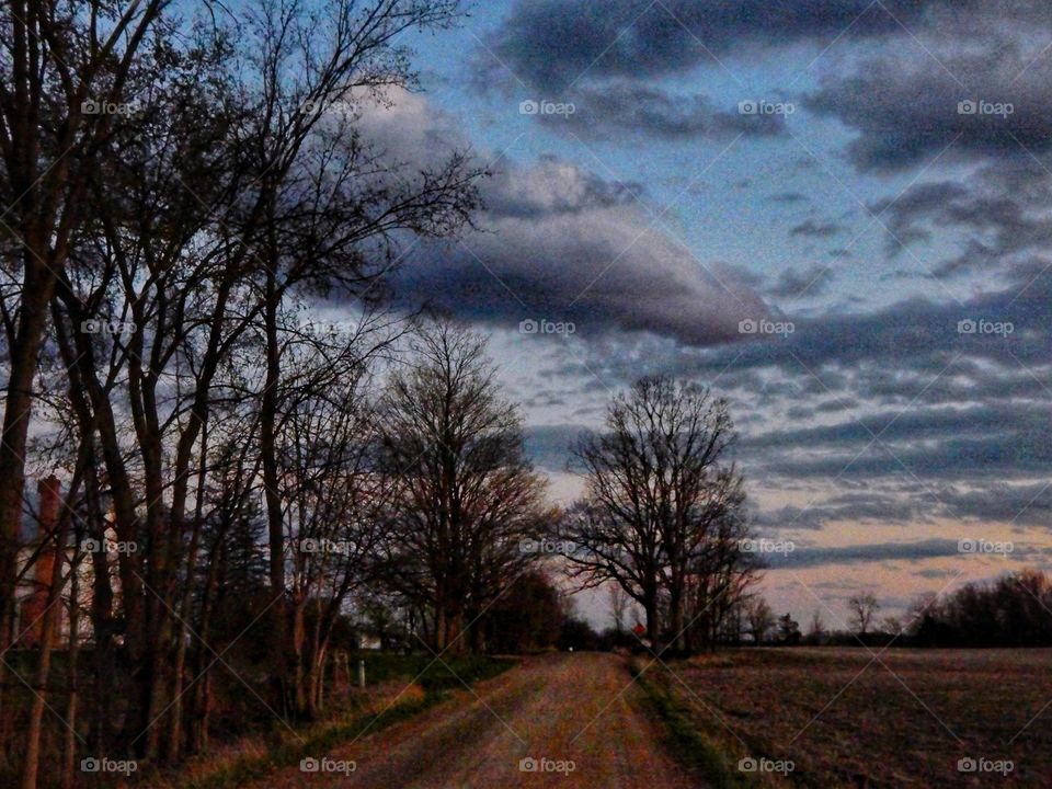 dirt road at dusk lined with trees