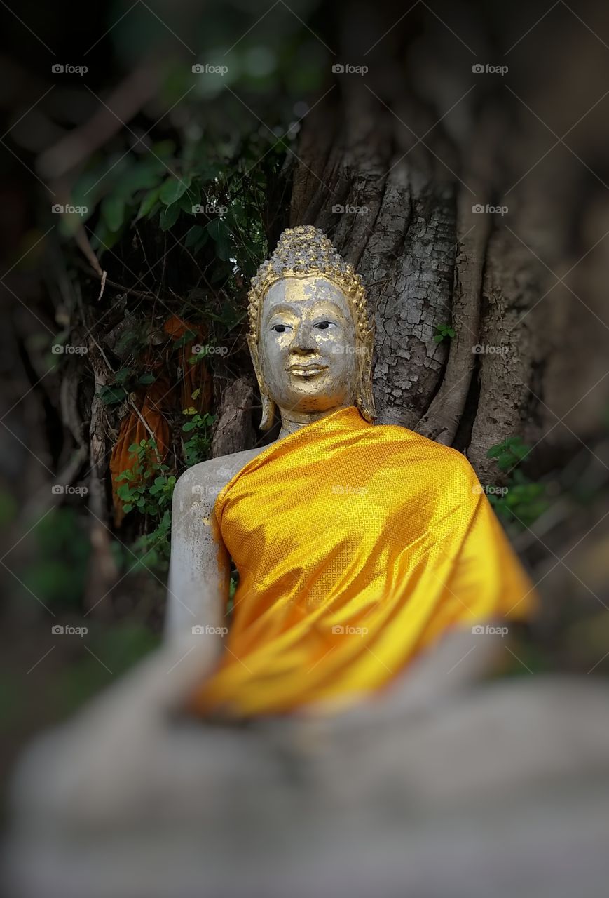Buddha  statue in the temple