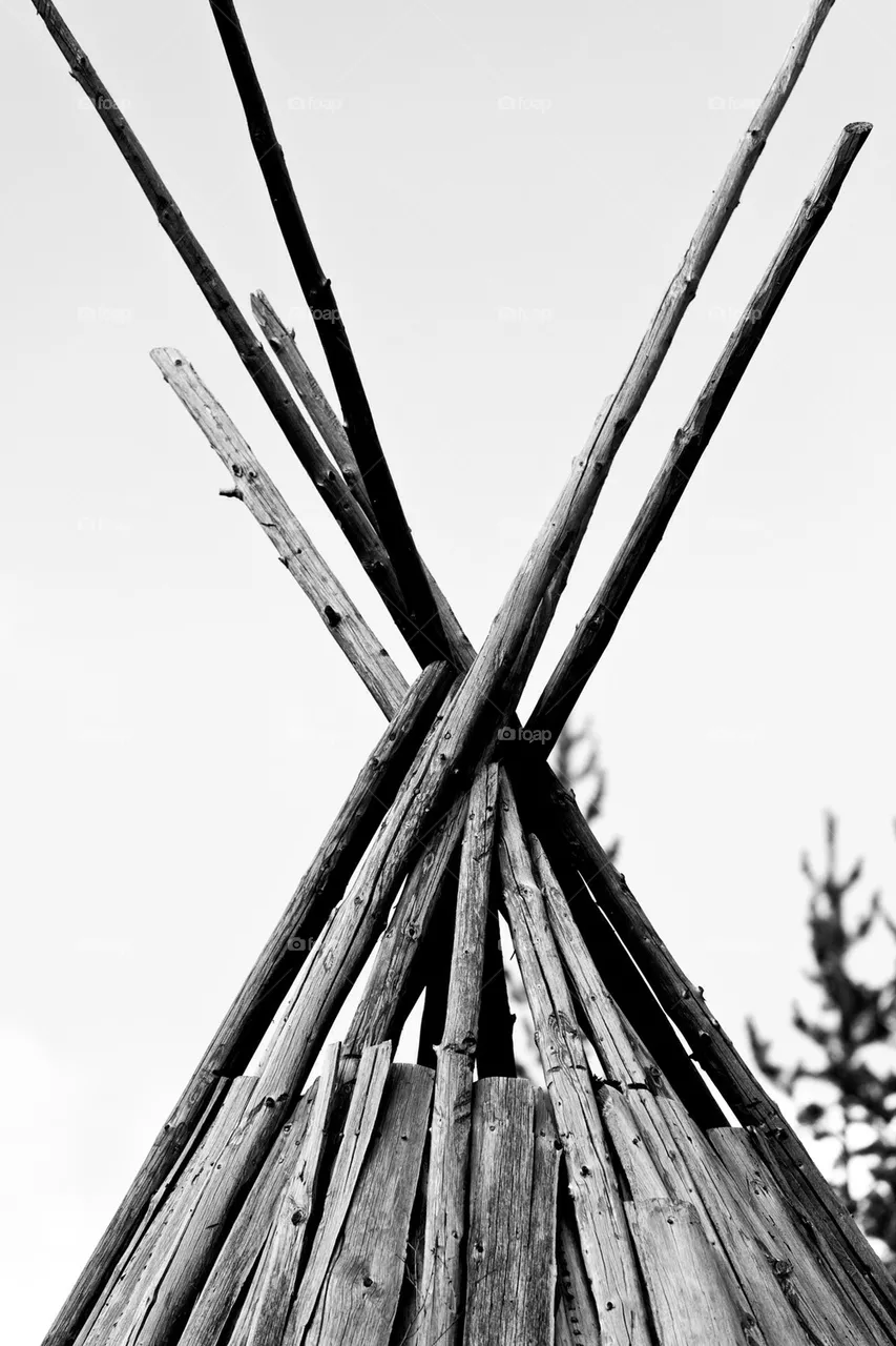 wood