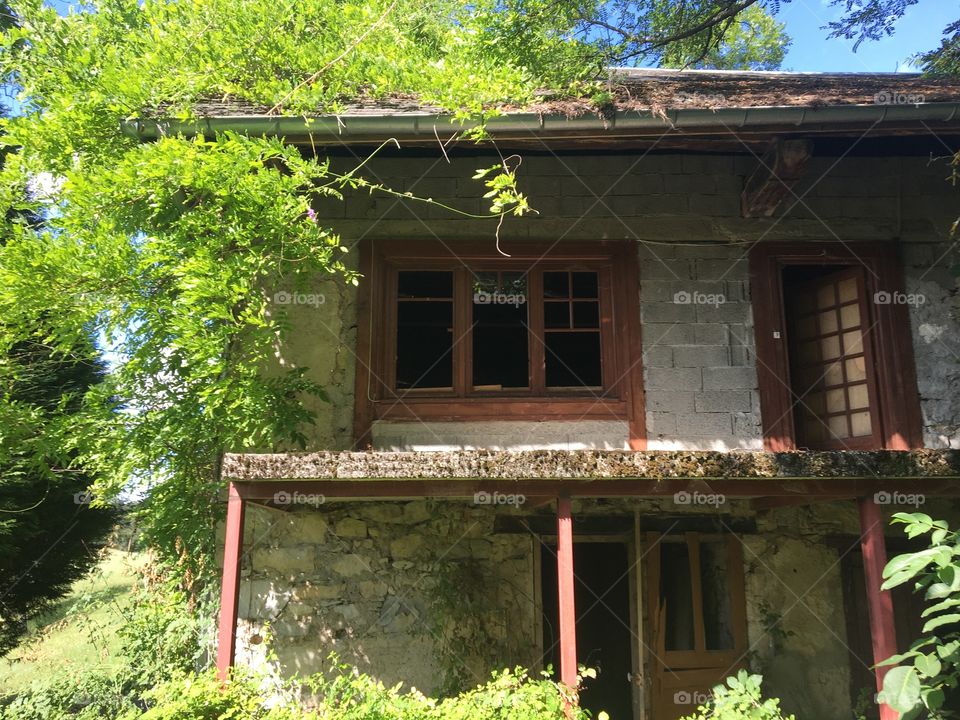 abandoned house overgrown with vegetation