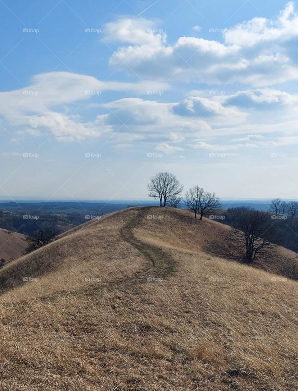 Lesson 2: Join to Premium by Foap Missions