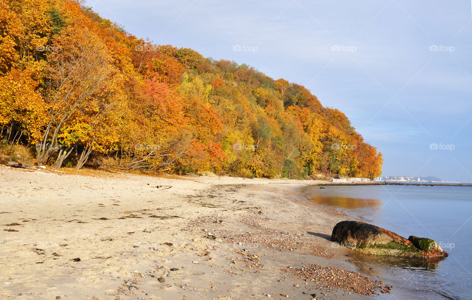 Autumn beach view 