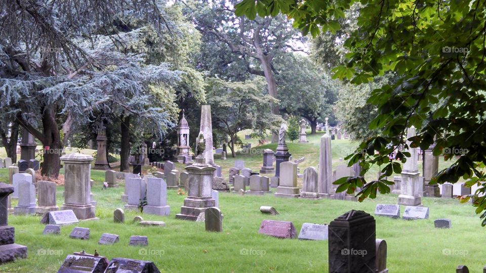 Another picture of a graveyard in Brooklyn, NY. Check out all the tombstones spread around the grounds.
