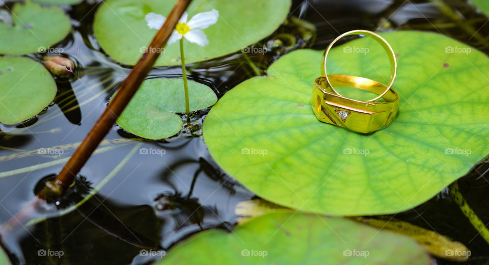 Gold wedding rings