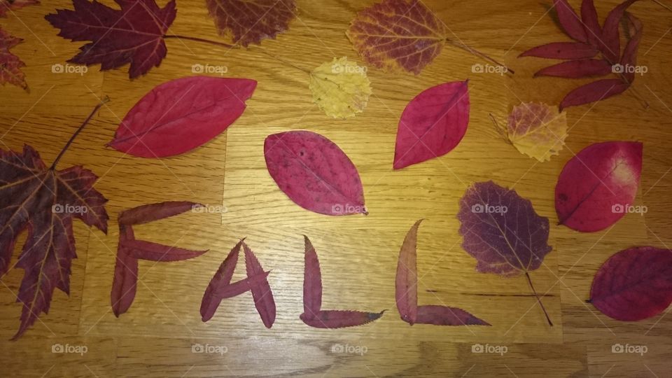 Fall