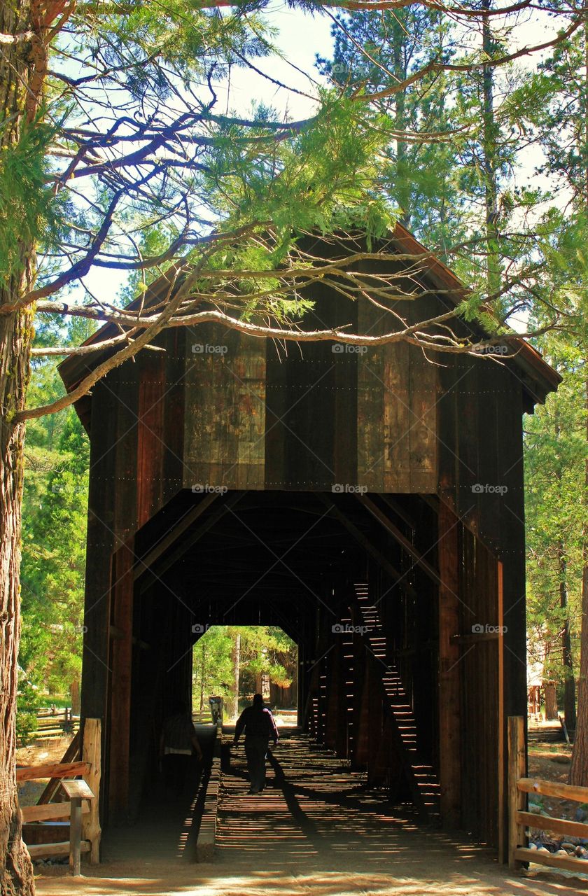 Wawona covered bridge 