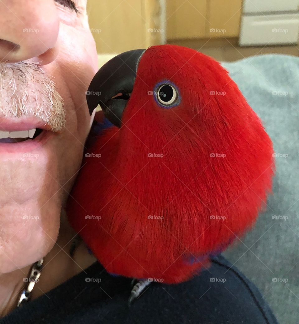 Sweet man and beautiful pet parrot cheek to cheek.