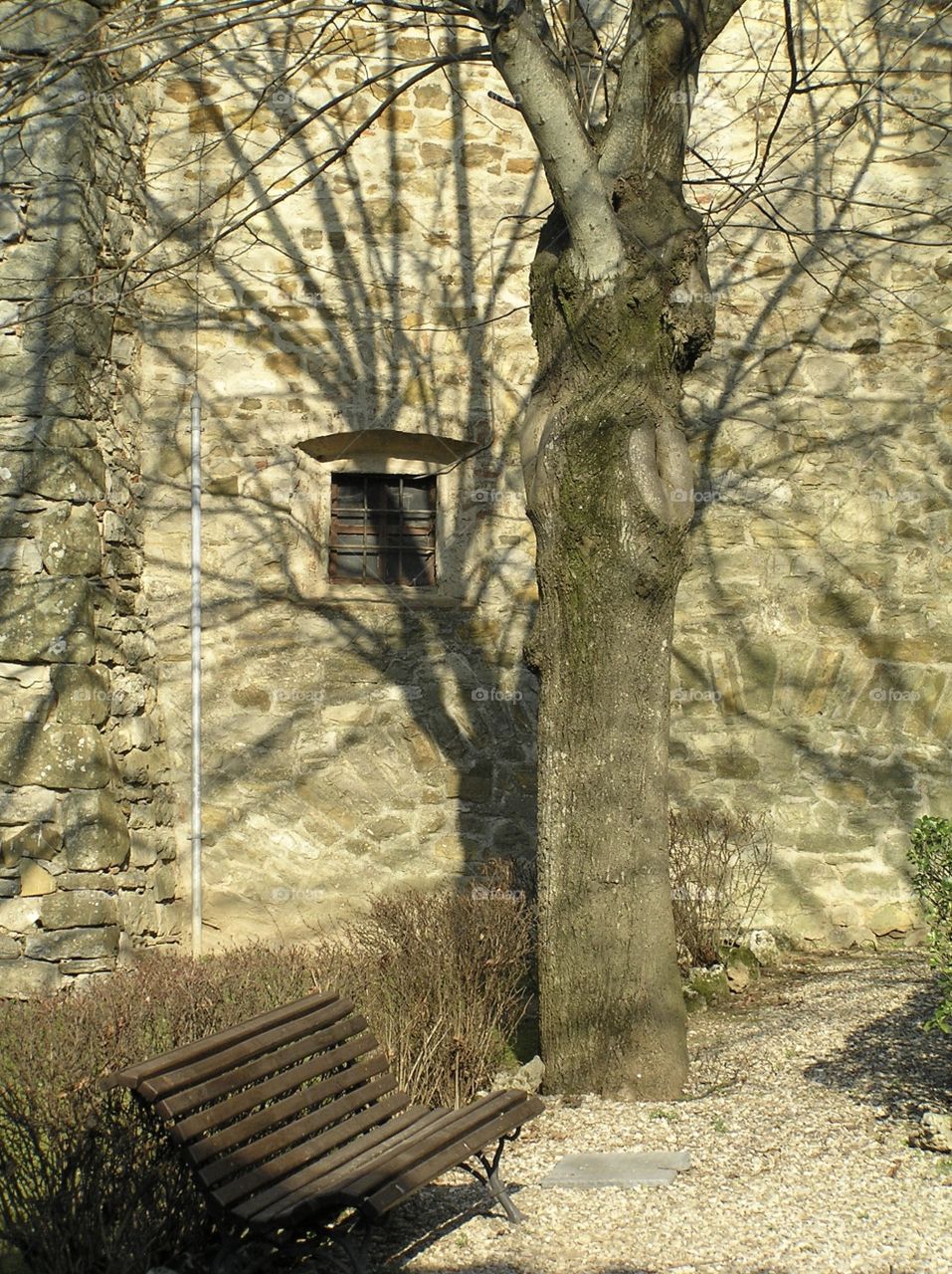 My place awaits among the web of shadows echoing the splendor and magnificence of this majestic tree!  