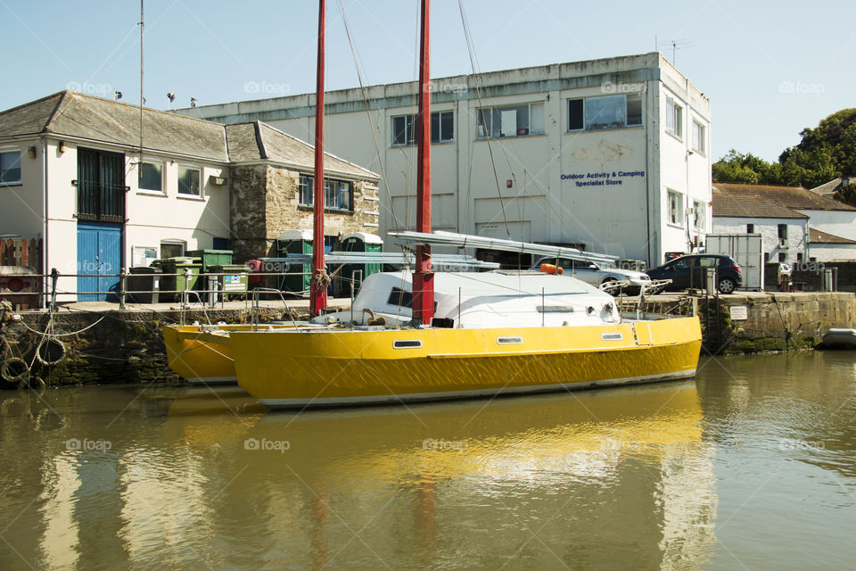 Yellow Cat. Yellow Cat