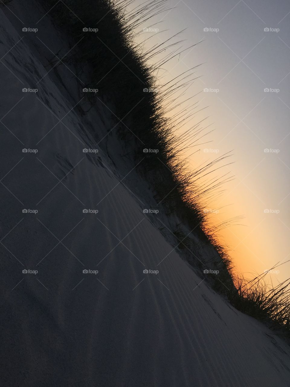 sunsets and sea oates