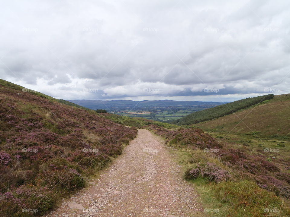 Road . The Vee Ireland 