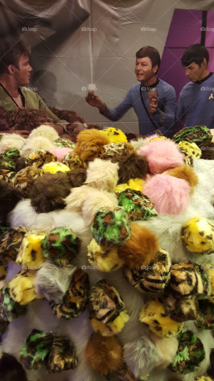 Tribbles