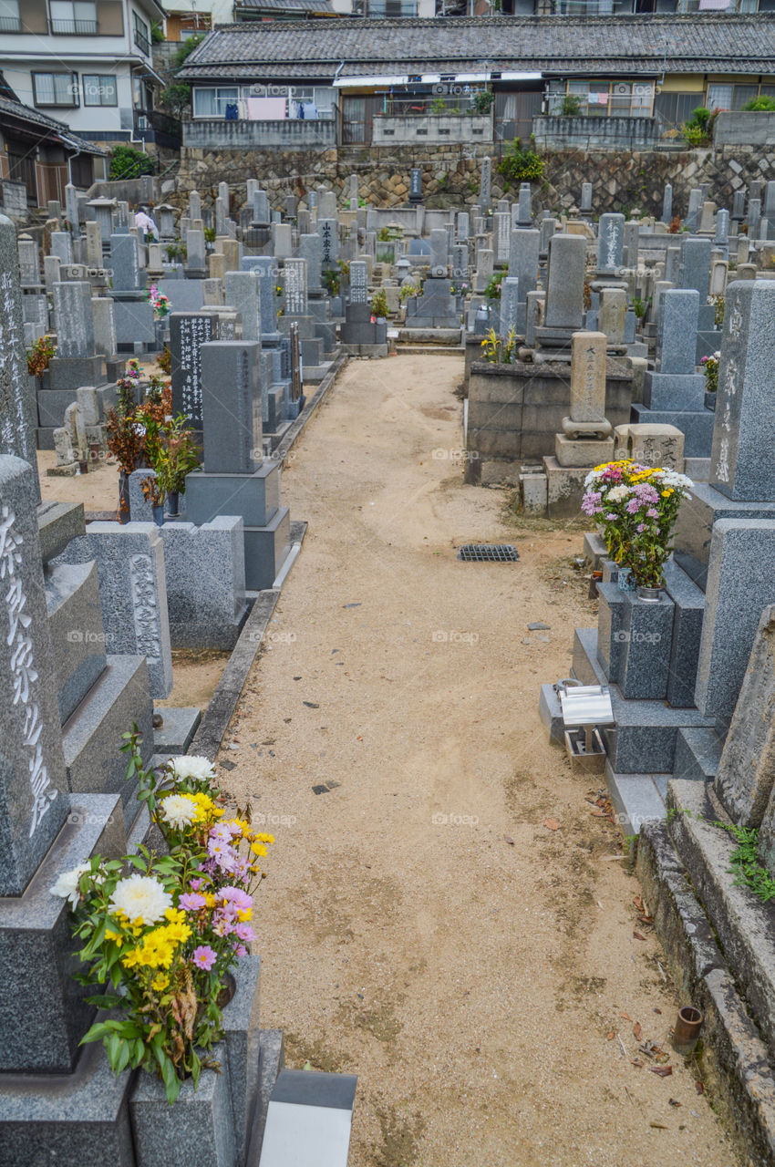 Graveyard At Onomichi Japan