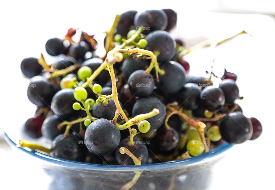 Grapes from the garden