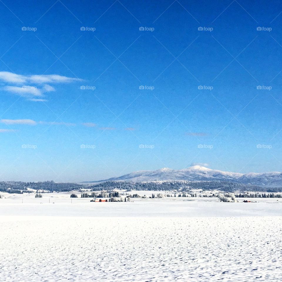 Winter on the Peone Prairie 