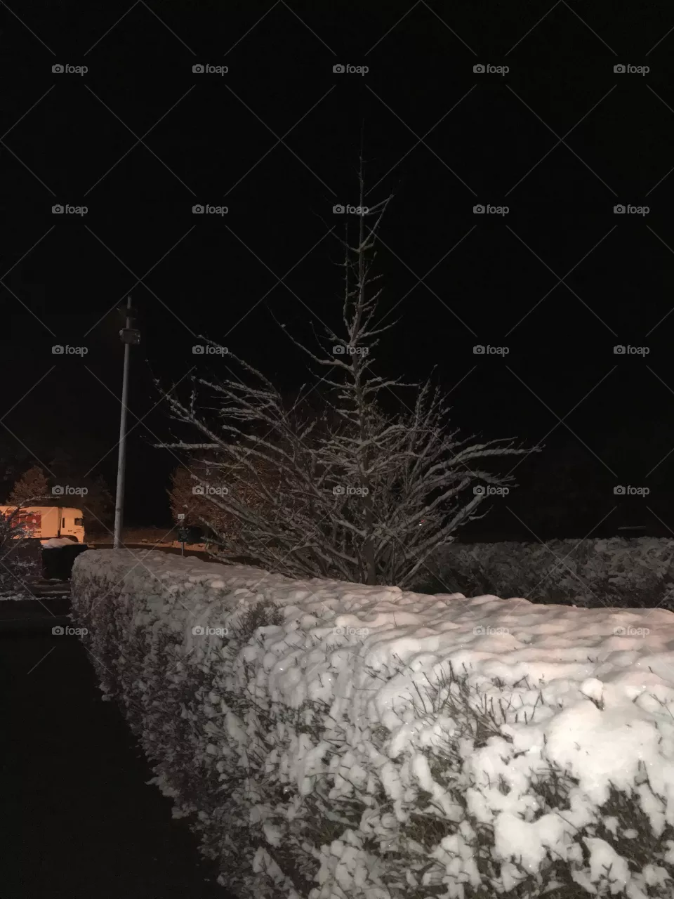 Snow
