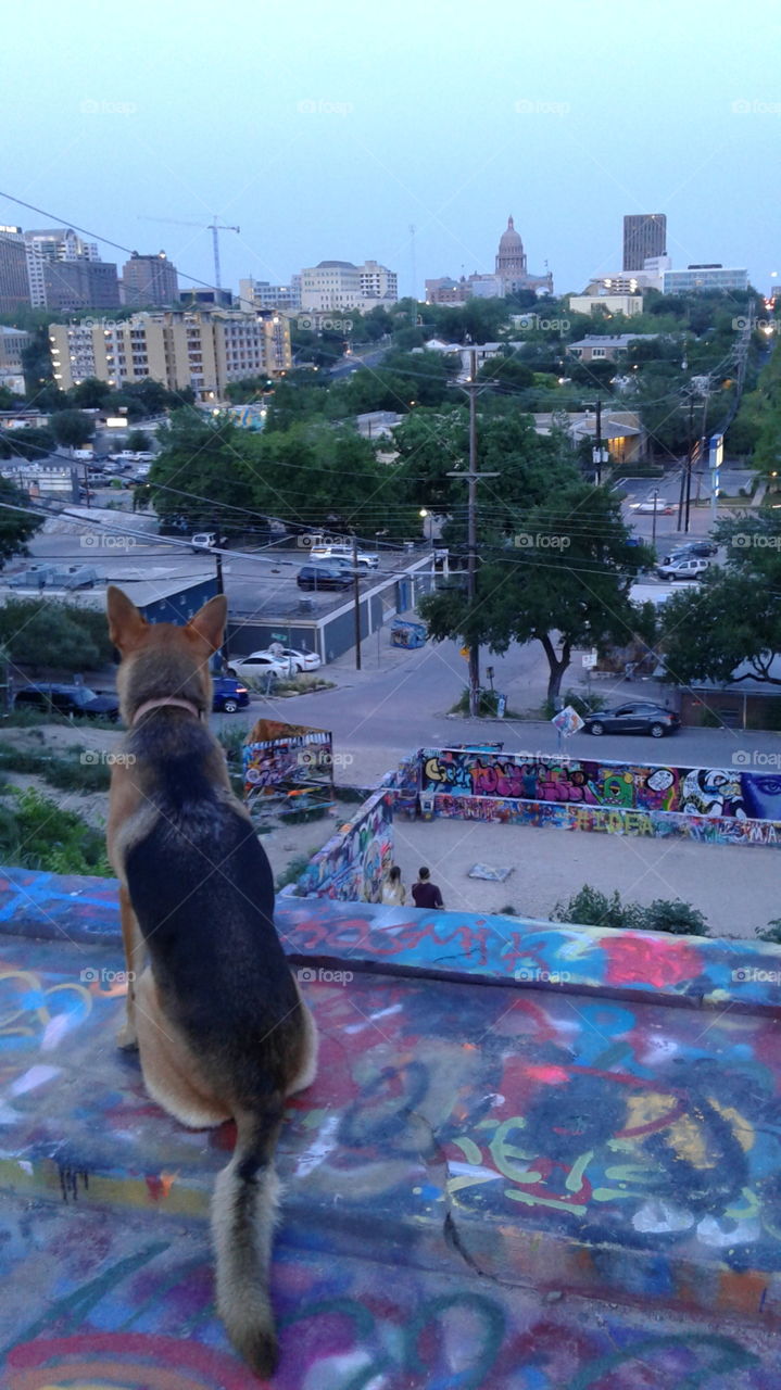 all eyes on you. looking out over Austin Texas. watching and waiting