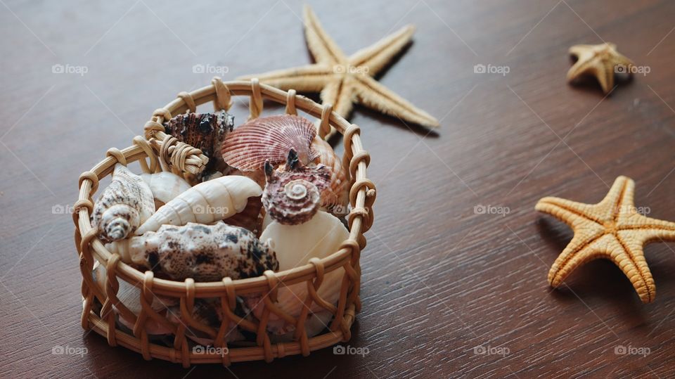 Seashells and starfish on wood